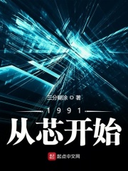 《1991从芯开始》（校对版全本）作者：三分糊涂_知轩藏书