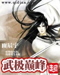 《武极巅峰》（校对版全本）作者：雨辰宇_知轩藏书