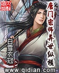 《唐门宗师异世纵横》（校对版全本）作者：白雪衣冠_知轩藏书