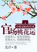 《官道之步步高升(官场桃花运)》（校对版全本）作者：北岸_知轩藏书