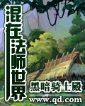 《混在法师世界》（校对版全本）作者：黑暗骑士殿_知轩藏书