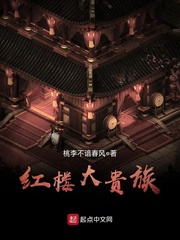 《红楼大贵族》（校对版全本）作者：桃李不谙春风_知轩藏书