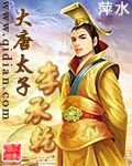 《大唐太子李承乾》（校对版全本）作者：萍水_知轩藏书