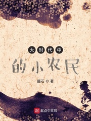 《大时代中的小农民》（校对版全本）作者：醛石_知轩藏书