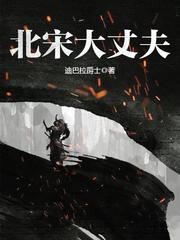 《北宋大丈夫》（校对版全本）作者：迪巴拉爵士_知轩藏书