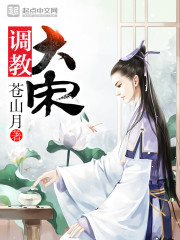 《调教大宋》（校对版全本）作者：苍山月_知轩藏书