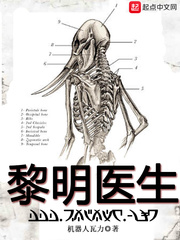 《黎明医生》（校对版全本）作者：机器人瓦力_知轩藏书