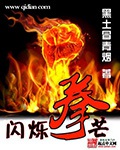 《闪烁拳芒》（校对版全本）作者：黑土冒青烟_知轩藏书