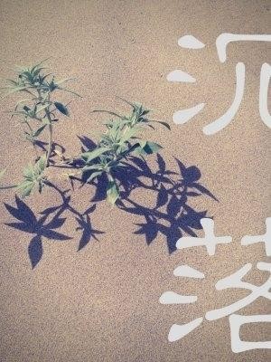 《沉落》（校对版全本）作者：初禾_知轩藏书