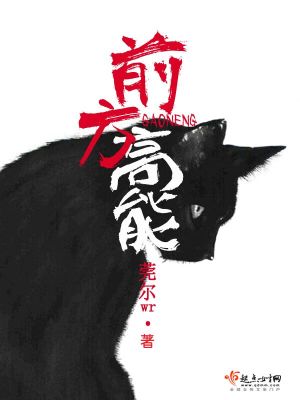 《前方高能》（校对版全本）作者：莞尔wr_知轩藏书