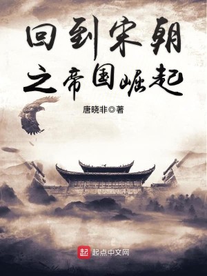 《回到宋朝之帝国崛起》（校对版全本）作者：唐晓非_知轩藏书