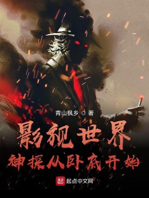 《影视世界神探从卧底开始》（校对版全本）作者：青山枫乡_知轩藏书