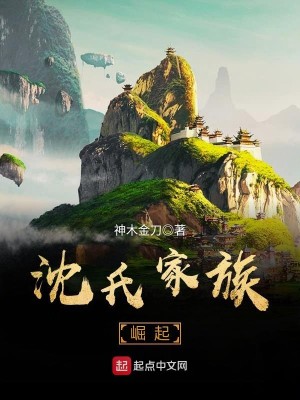 《沈氏家族崛起》（校对版全本）作者：神木金刀_知轩藏书