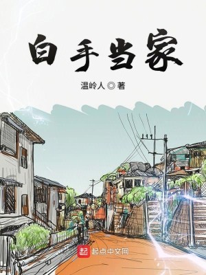 《白手当家》（校对版全本）作者：温岭人_知轩藏书