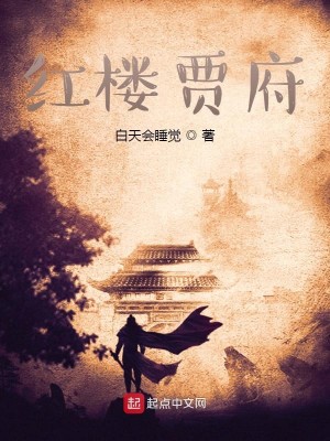 《红楼贾府》（校对版全本）作者：白天会睡觉_知轩藏书