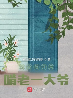 《四合院开局啃老一大爷》（校对版全本）作者：爱吃西瓜的狗哥_知轩藏书