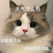 debbyxiao_知轩藏书