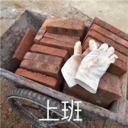 xiaodaa_知轩藏书